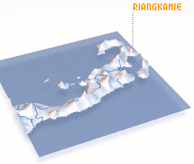 3d view of Riangkamie