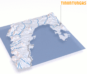 3d view of Tinuntungas