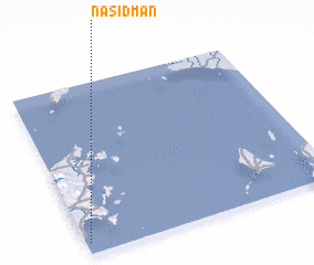 3d view of Nasidman