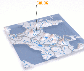 3d view of Salog