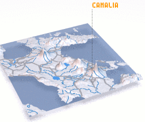 3d view of Camalia