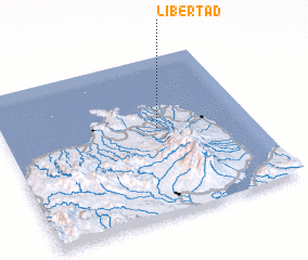 3d view of Libertad