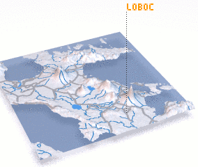 3d view of Loboc