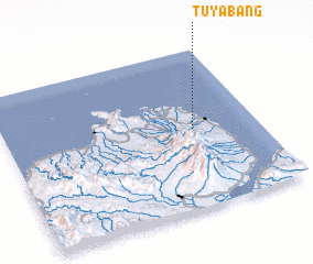 3d view of Tuyabang