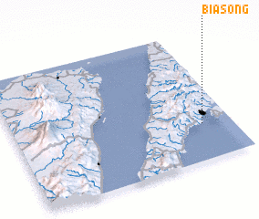 3d view of Biasong