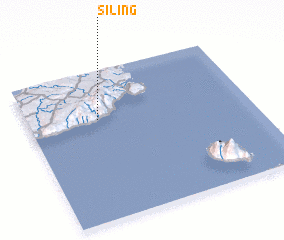 3d view of Siling