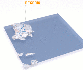 3d view of Begonia