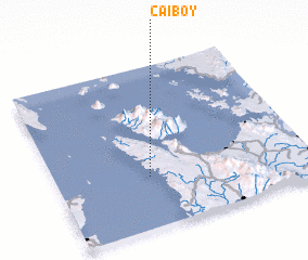 3d view of Caiboy