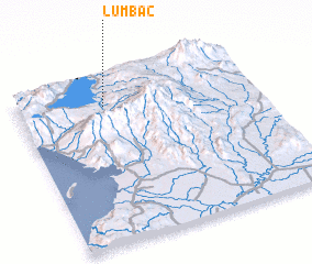 3d view of Lumbac