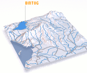 3d view of Bintog