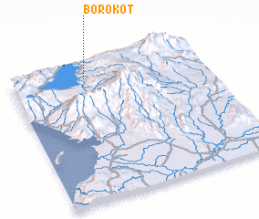 3d view of Borokot