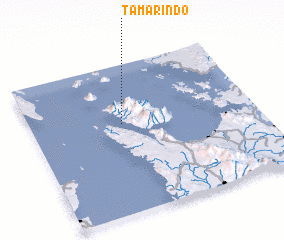 3d view of Tamarindo