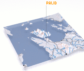 3d view of Palid