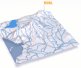 3d view of Bual