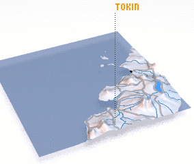 3d view of Tokin