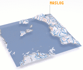 3d view of Maslog