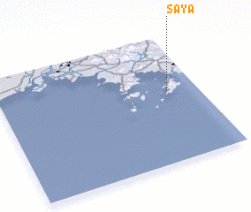 3d view of Saya