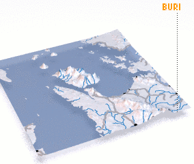 3d view of Buri