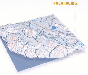 3d view of Polonoling
