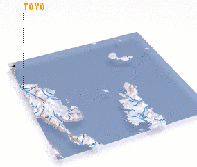 3d view of Toyo