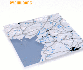 3d view of Pyŏkpi-dong