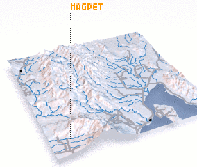 3d view of Magpet