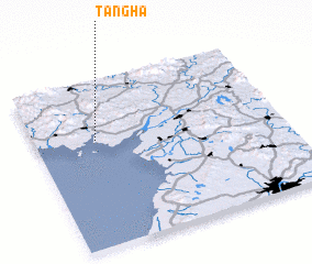 3d view of Tangha