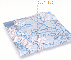 3d view of Culambug