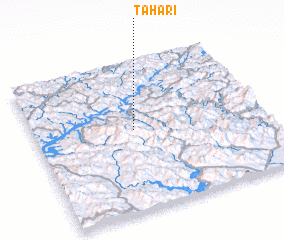 3d view of T\