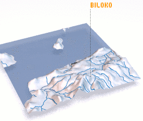 3d view of Biloko