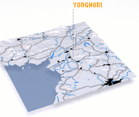 3d view of Yongho-ri