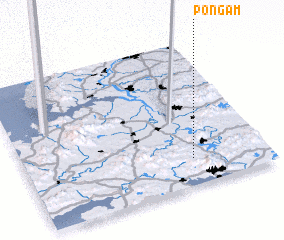 3d view of Pongam