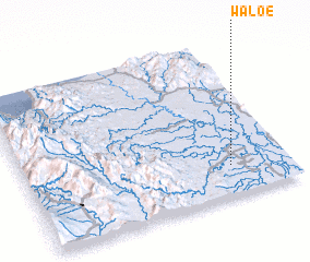 3d view of Waloe