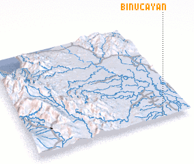 3d view of Binucayan