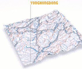 3d view of Yonghŭng-dong