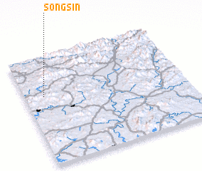 3d view of Songsin