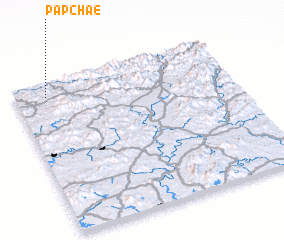 3d view of Papchae