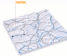 3d view of Saemal