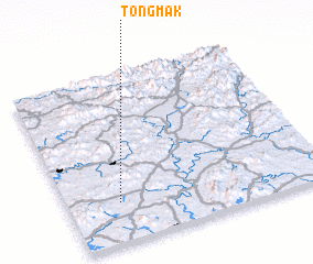 3d view of Tongmak