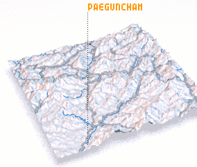 3d view of Paegunch\