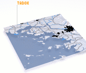 3d view of Tadŏk