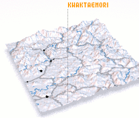 3d view of Kwaktaemŏri