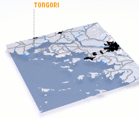 3d view of Tongo-ri