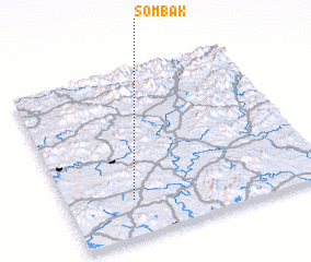 3d view of Sŏmbak