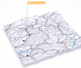 3d view of Songnim-ni