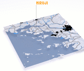 3d view of Miruji