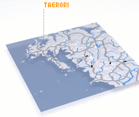 3d view of Taero-ri