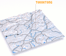 3d view of Tukok-tong