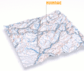3d view of Muimnae