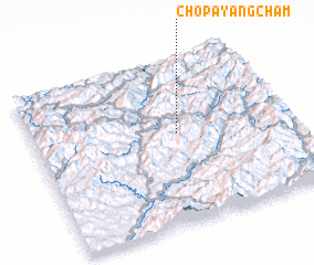 3d view of Chop\